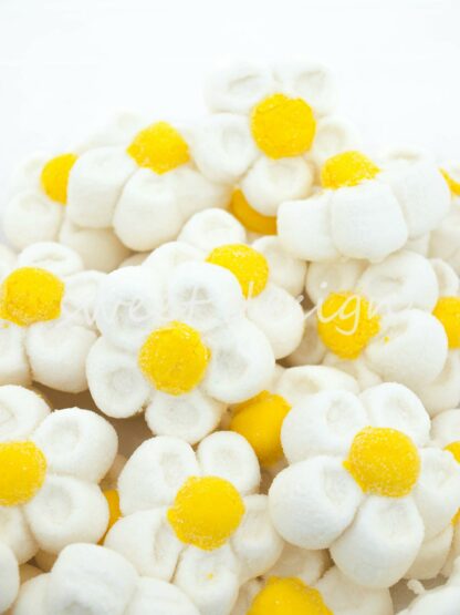 Flores blancas dulces